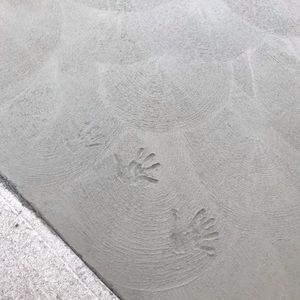 Meet your Posher, Nagham